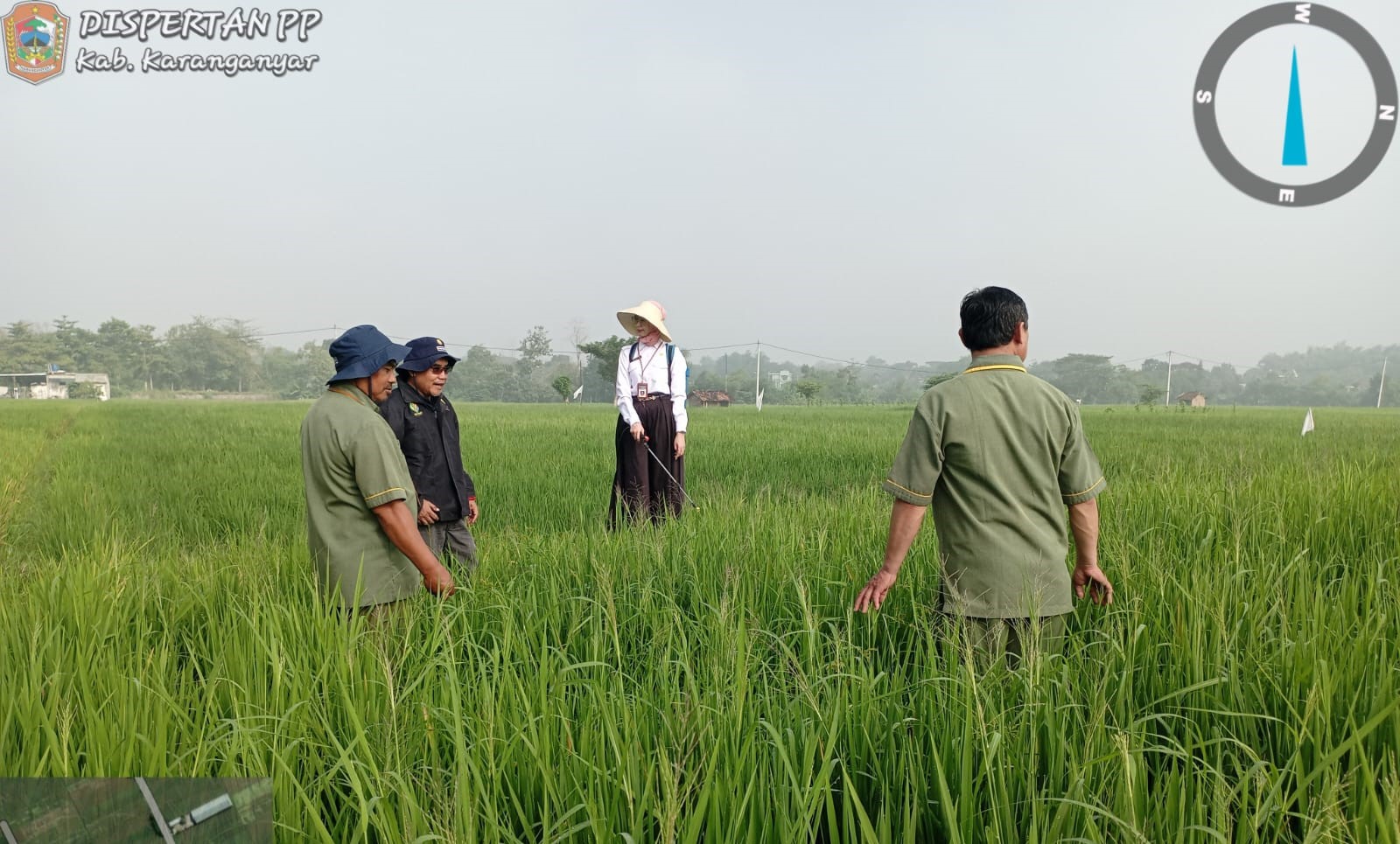 Pelaksanaan Gerakan Pengendalian OPT di Desa Kalijirak, Kecamatan Tasikmadu Tanggal 24 June 2024