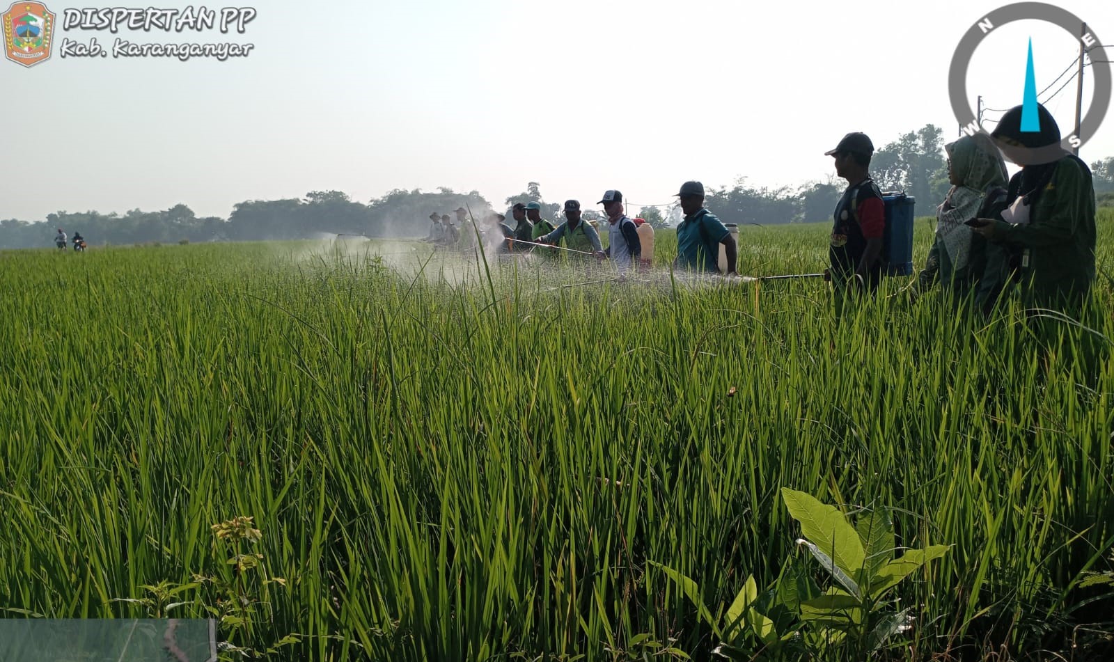 Pelaksanaan Gerakan Pengendalian OPT di Desa Jetis, Kecamatan Jaten Tanggal 21 June 2024