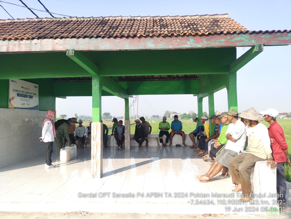 Pelaksanaan Gerakan Pengendalian OPT di Desa Brujul, Kecamatan Jaten Tanggal 19 June 2024
