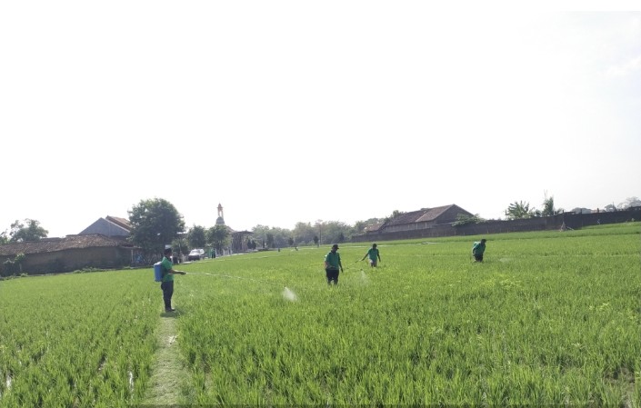 Pelaksanaan Gerakan Pengendalian OPT di Desa Macanan, Kecamatan Kebakkramat Tanggal 01 November 2024