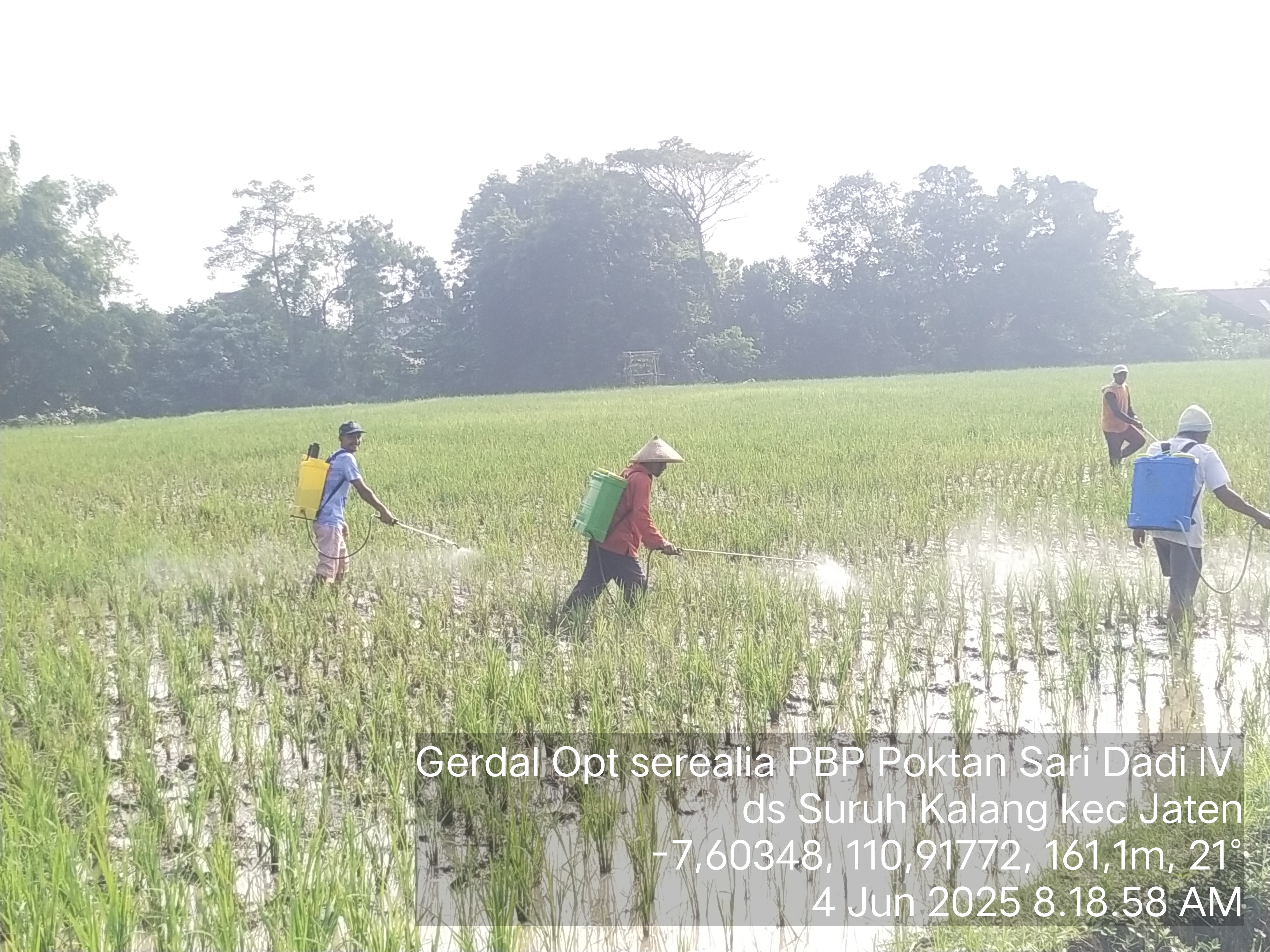 Pelaksanaan Gerakan Pengendalian OPT di Desa Suruhkalang, Kecamatan Jaten Tanggal 04 June 2025