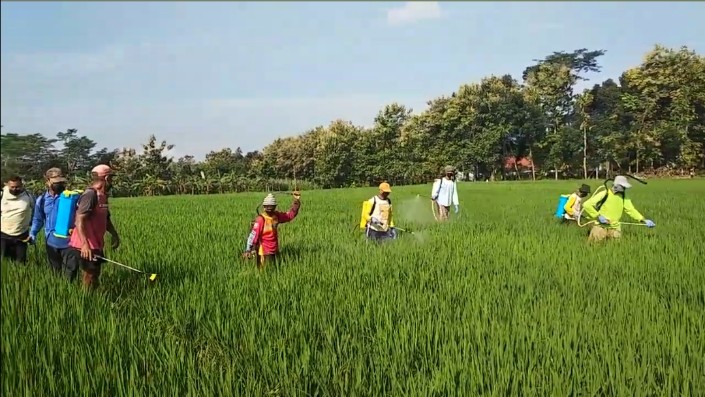 Pelaksanaan Gerakan Pengendalian OPT di Desa Tugu, Kecamatan Jumantono Tanggal 11 June 2025