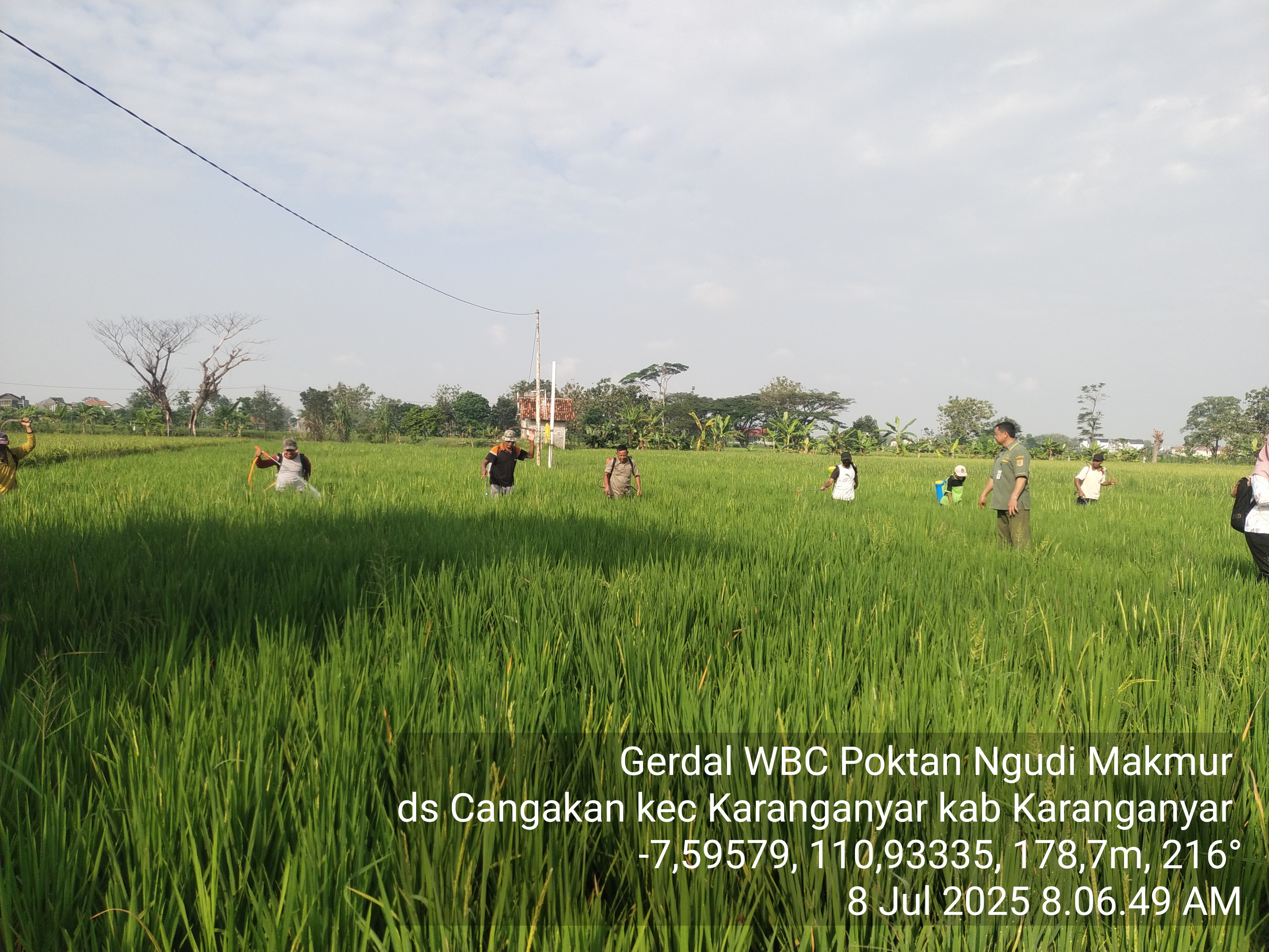 Pelaksanaan Gerakan Pengendalian OPT di Desa Cangakan, Kecamatan Karanganyar Tanggal 08 July 2025
