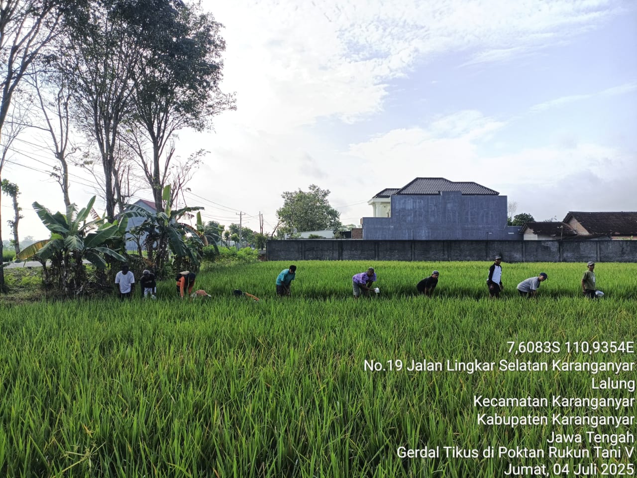 Pelaksanaan Gerakan Pengendalian OPT di Desa Lalung, Kecamatan Karanganyar Tanggal 04 July 2025